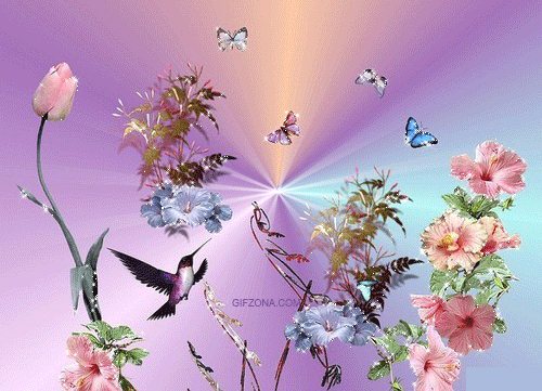 Kwiaty - koliber motyle i kwiaty.gif