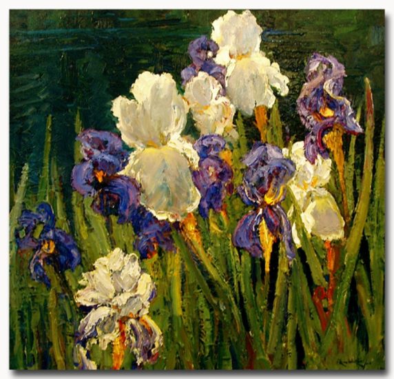 Alan Wolton - Bold Bloom Irises.jpg